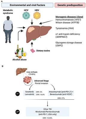 Hepatocellular Carcinoma Immune Landscape and the Potential of Immunotherapies